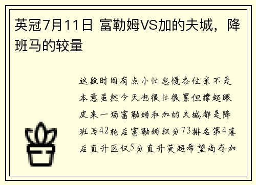 英冠7月11日 富勒姆VS加的夫城，降班马的较量